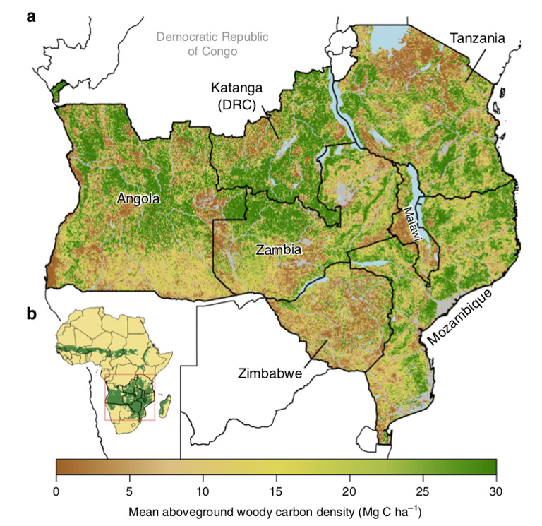 Carbon stock in southern Africa's wooded savannas.