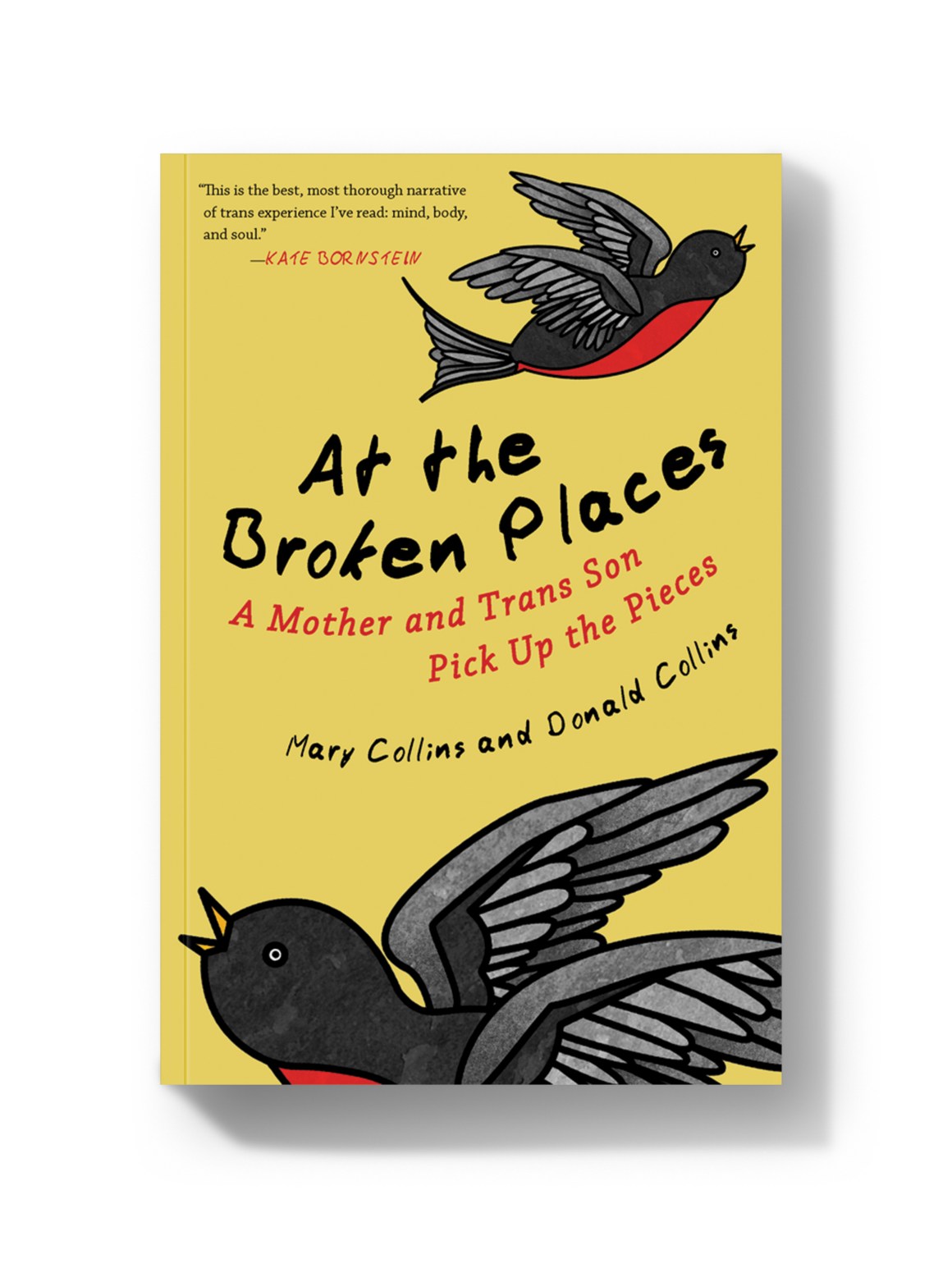 At the Broken Places: A Mother and Trans Son Pick Up the Pieces.