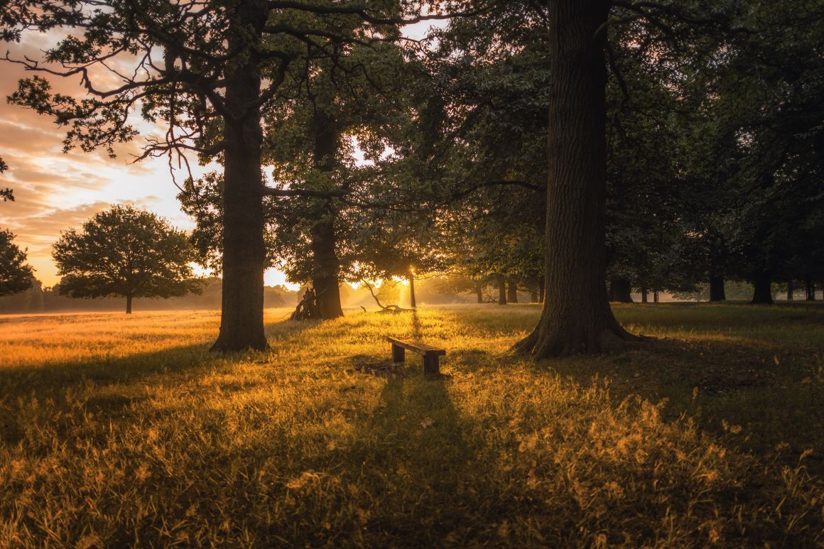 Natural Burial, Environmentalism, Burial, Green Alternative, Urban Space