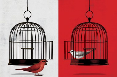 Birds in cages