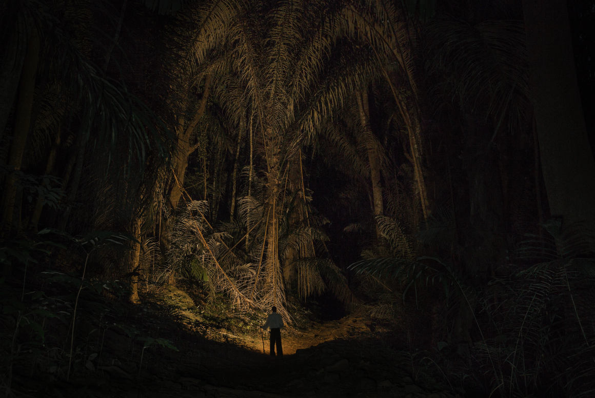 East Usambara Mountains, Tanzania: John Mganga walks through a forest at night near his former workplace, the Amani Hill Research Station. Many of the trees were first planted during German colonial rule as part of a botanical gardens project that was later abandoned.