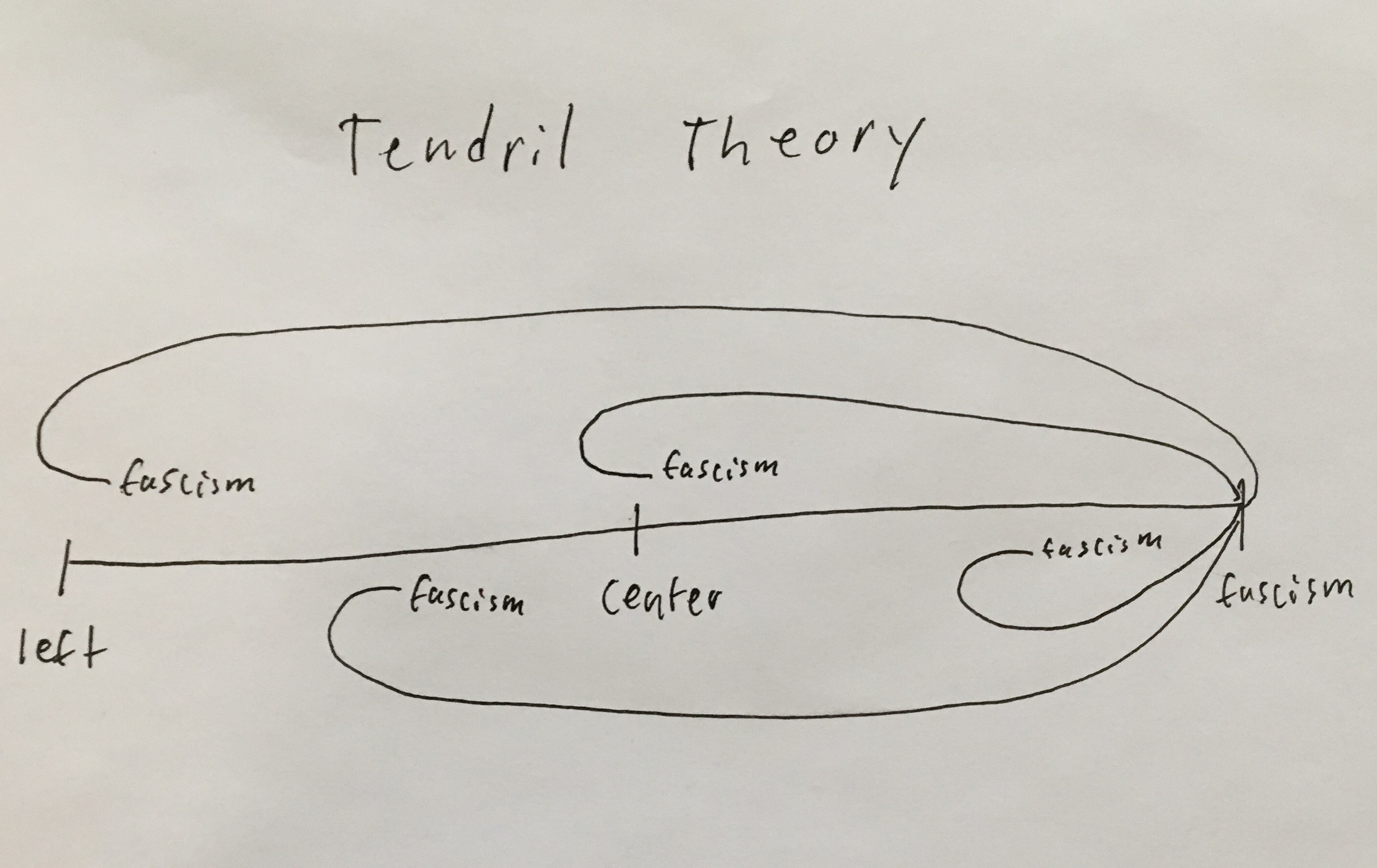 Tendril Theory vs Horseshoe Theory