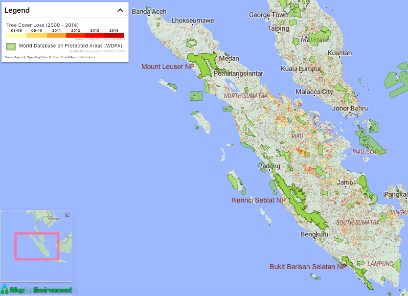 Mount Leuser, Kerinci Seblat and Bukit Barisan Selatan National Parks extend from north to south along the western coast of Sumatra. Red and yellow shading shows areas that lost tree cover between 2000 and 2014, according to data from the Global Land Analysis & Discovery lab.