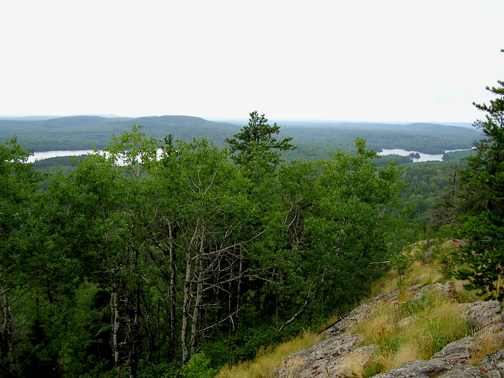 Superior National Forest.