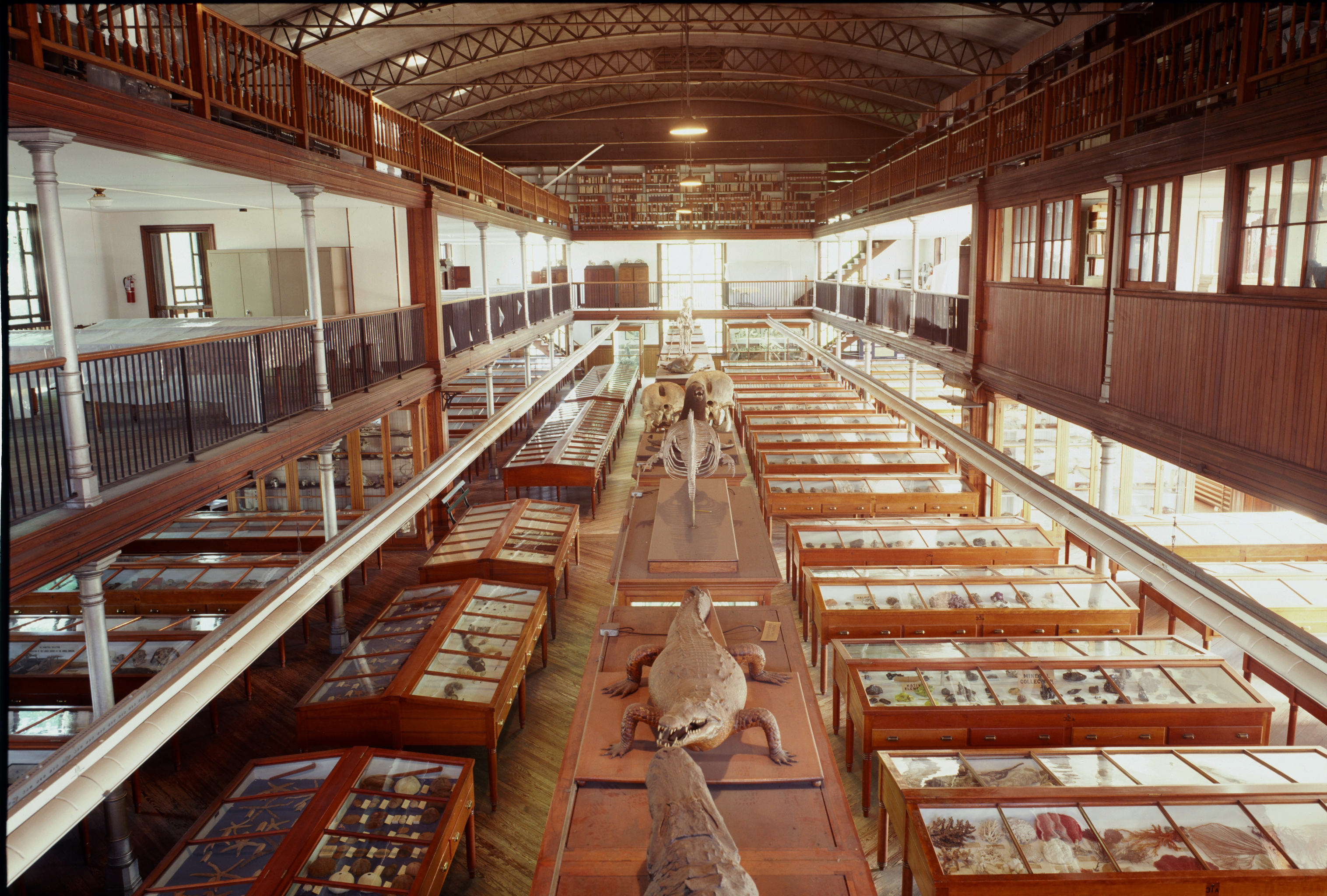 The Exhibition Hall at the Wagner Free Institute of Science.