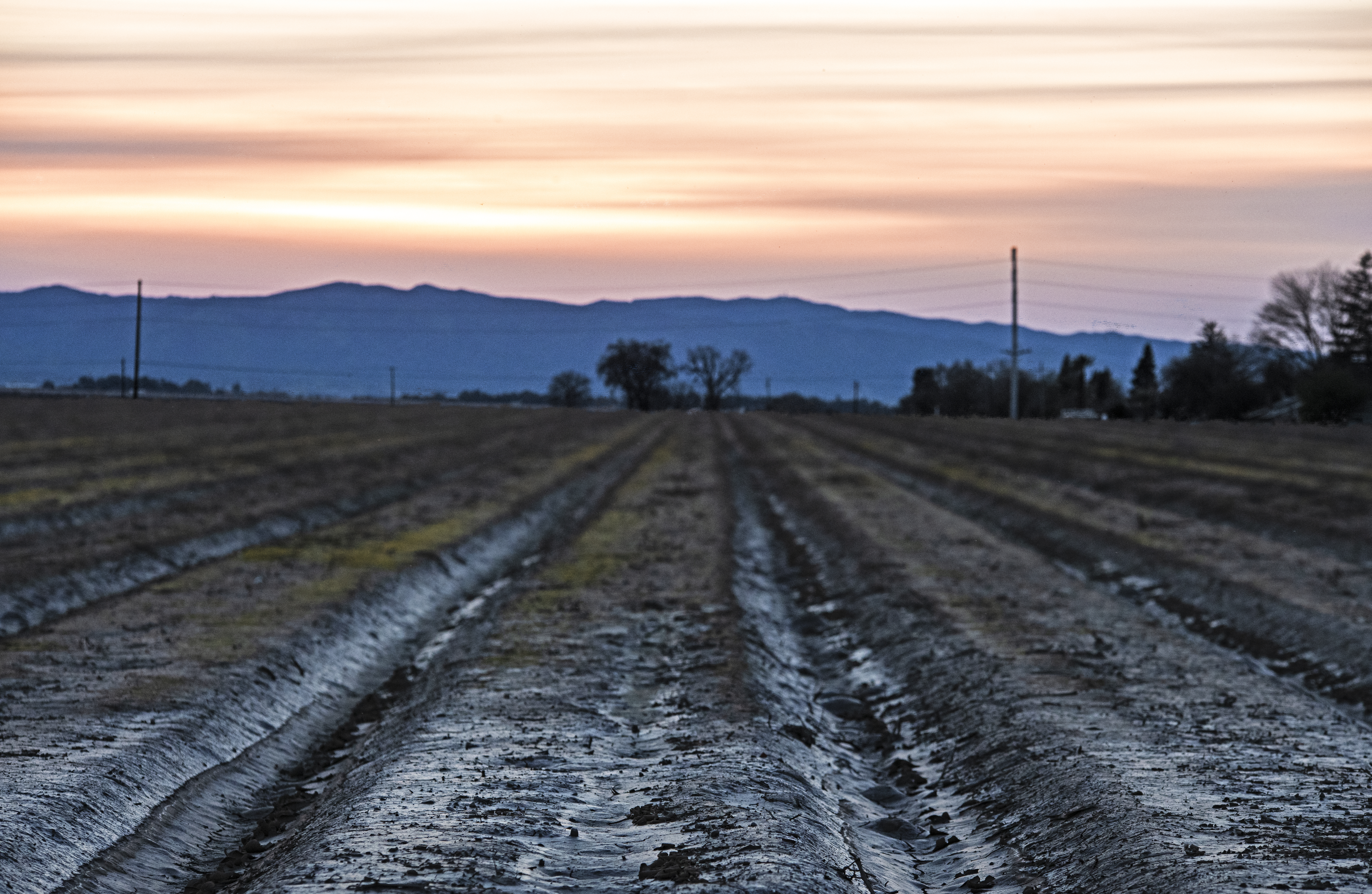 Yolo County, California.